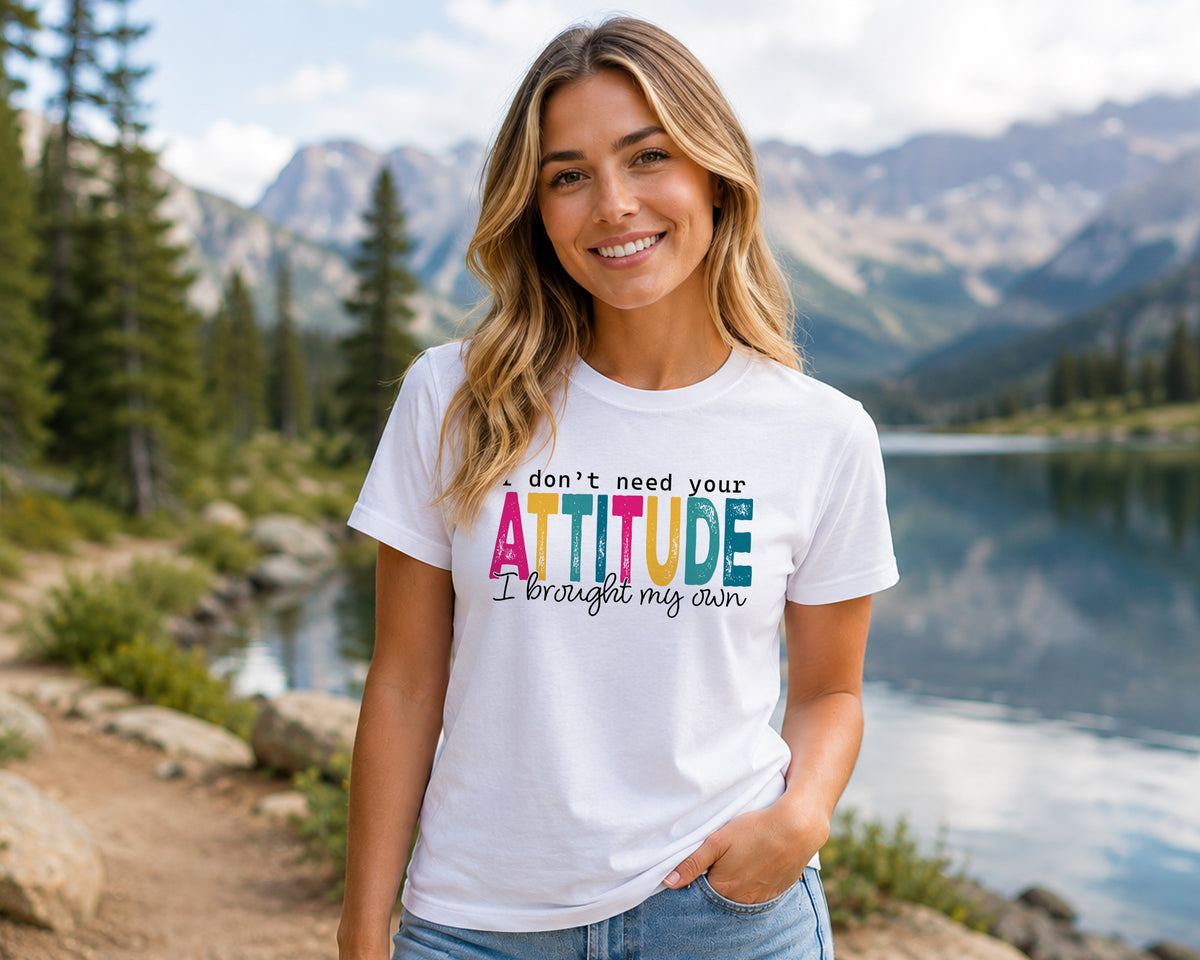 I Dont Need Your Attitude