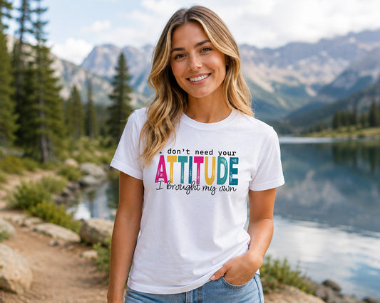 I Dont Need Your Attitude